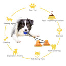 Upgraded Interactive Suction Cup