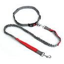 Night Reflective Elastic Leashes