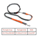 Night Reflective Elastic Leashes