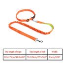 Night Reflective Elastic Leashes