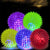 Glow-the-Dark Pet Toy Ball