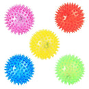 Glow-the-Dark Pet Toy Ball