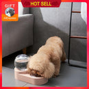 New Bubble Pet Bowls Drinking and Feeding Container